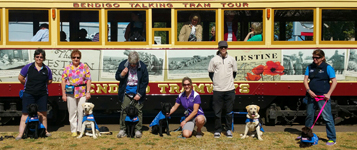 Seeing Eye Dogs Australia staff and dogs posing in front of the Anzac Centenary Tram